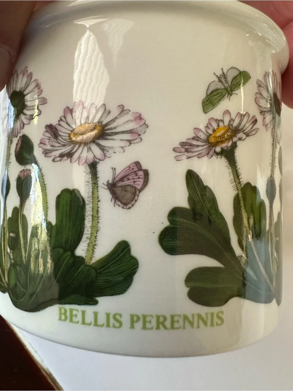 Portmeirion Botanic Garden Daisy Bellis Perennis Lidded Canister England
